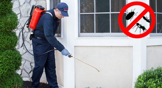 Helvacı Gümüşkurt İlaçlama böcek ilaçlama ve haşere kontrolü — ilaclama-tr.com